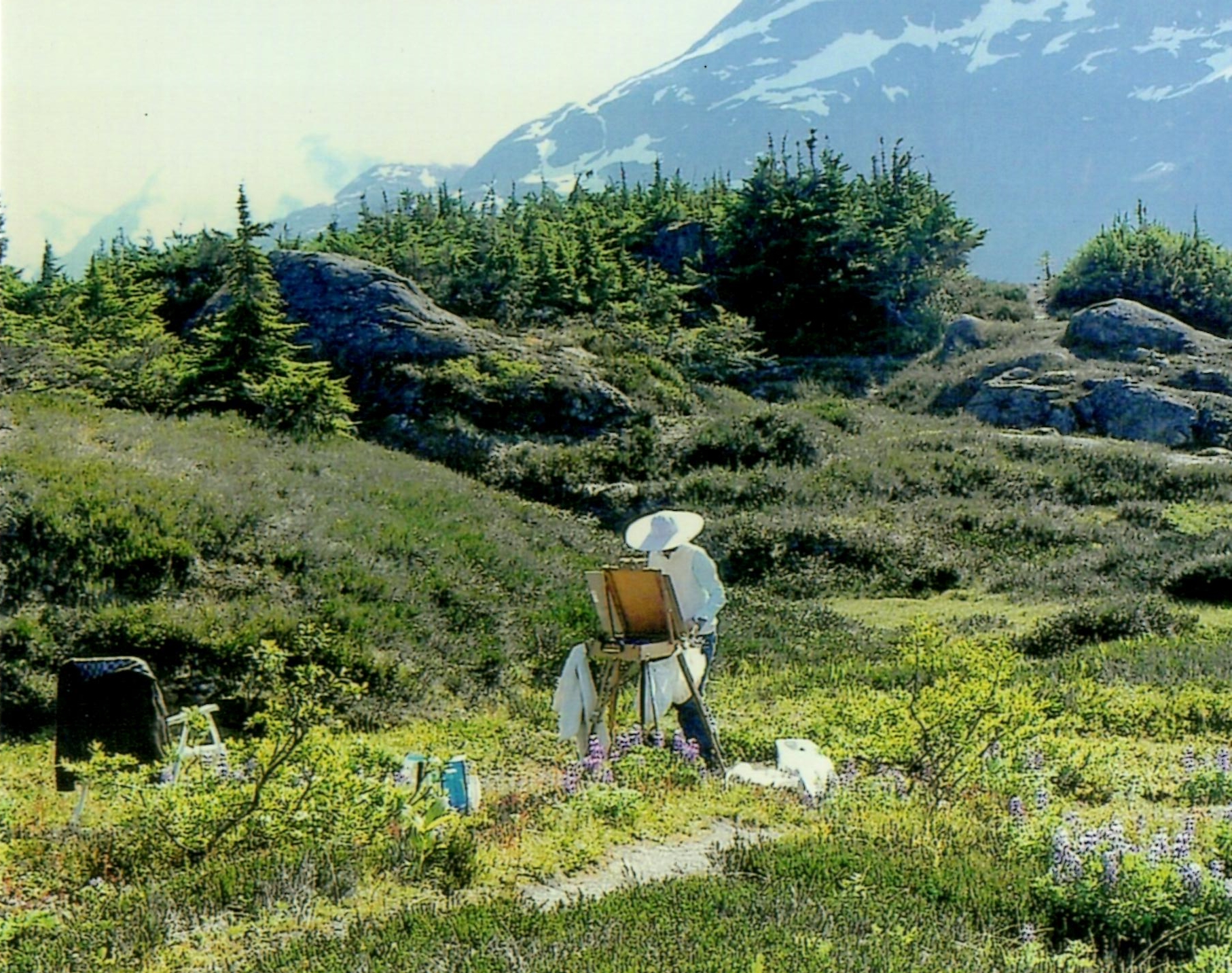 Angie Roth
                        McIntosh painting the alpine near Salmon
                        Glacier
