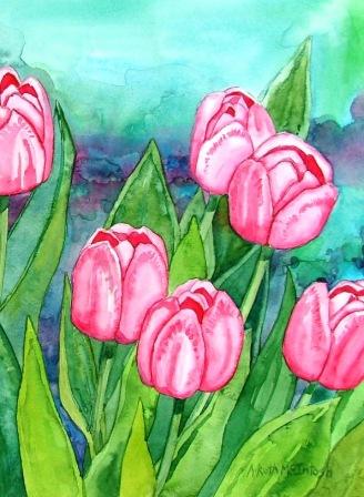 More pink tulips by Angie McIntosh